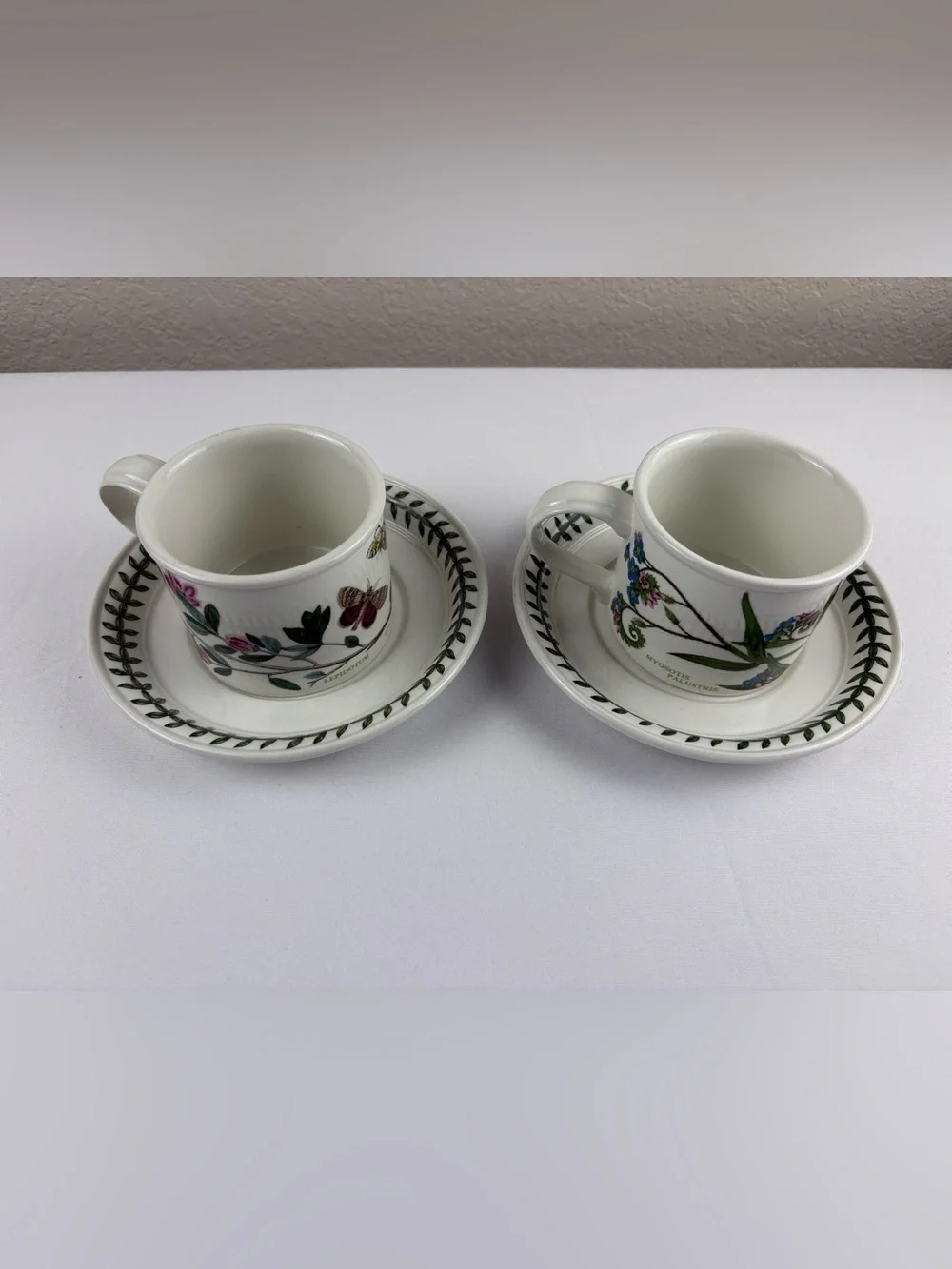 Set of Two Portmeirion Botanic Garden Teacup and Saucer Set.